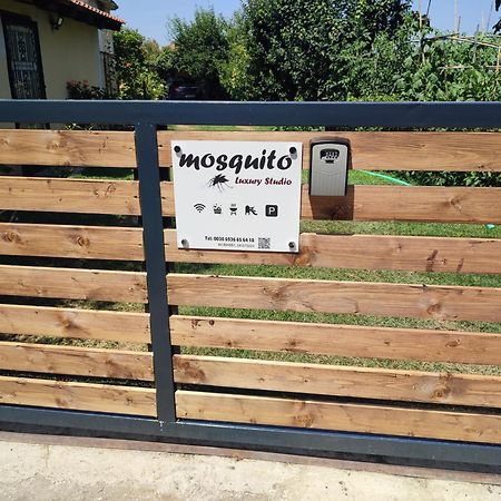 Mosquito Luxury Studio Keramoti  Ngoại thất bức ảnh