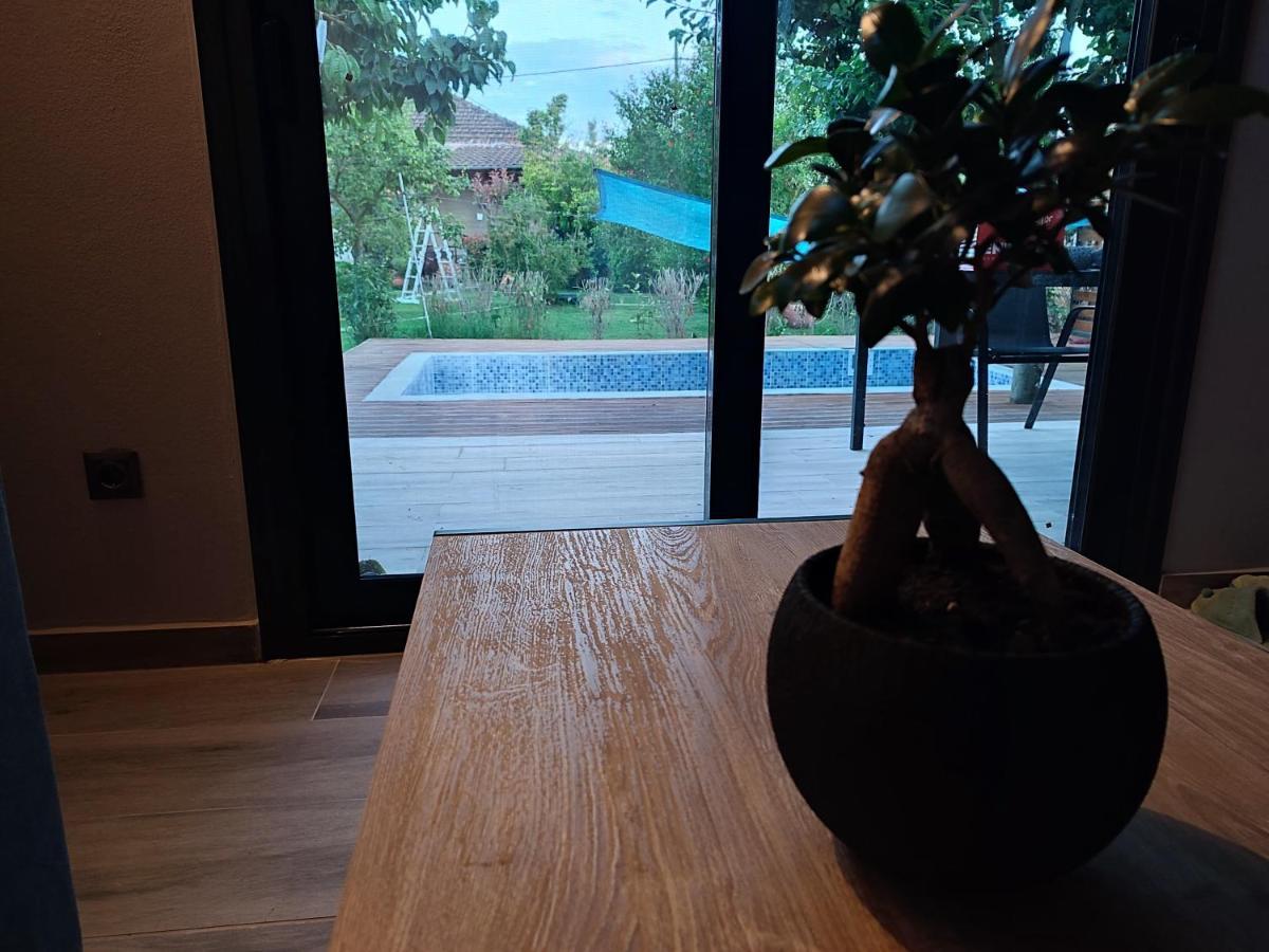 Mosquito Luxury Studio Keramoti  Ngoại thất bức ảnh